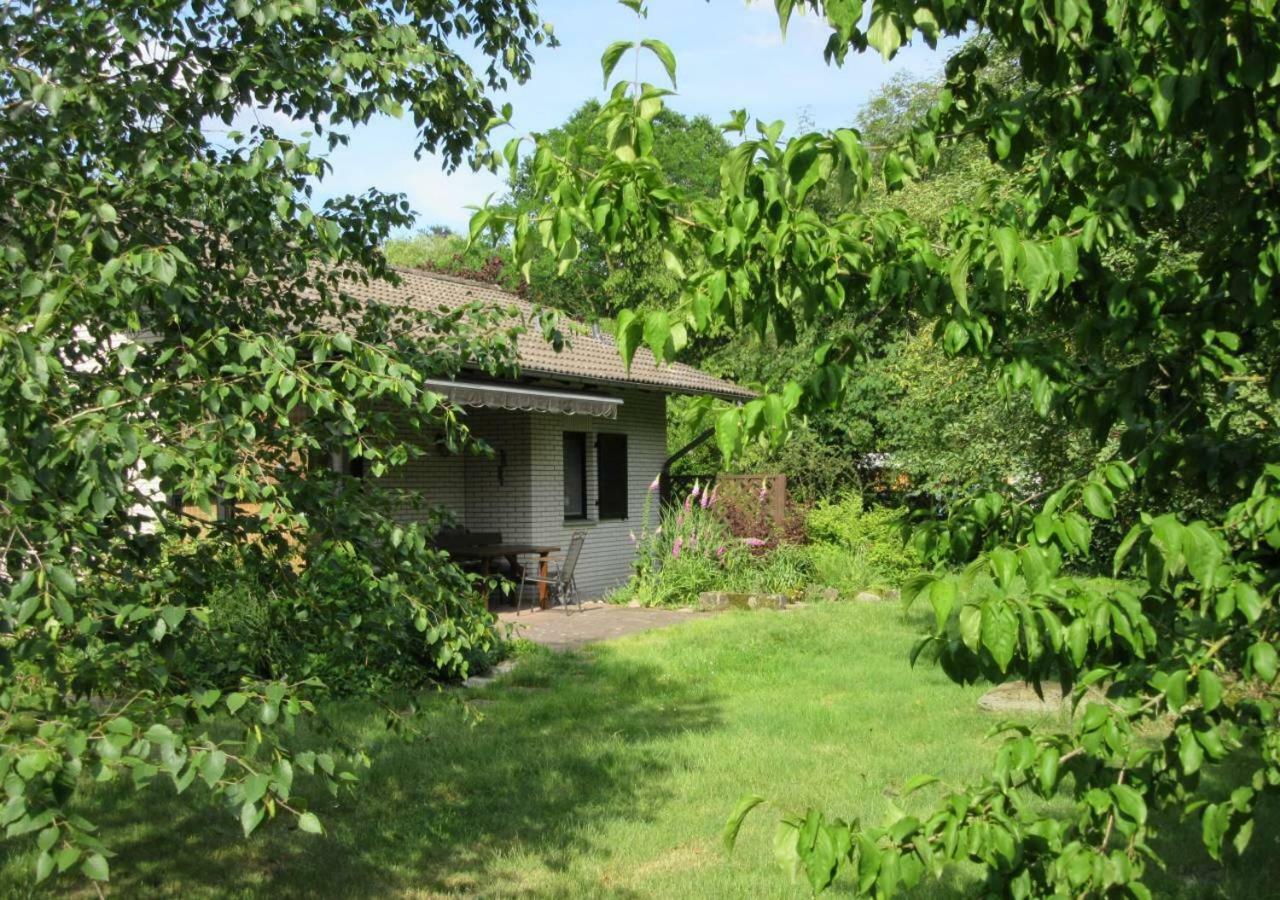 הוילה Ferienhaus Uchte / Darlaten מראה חיצוני תמונה